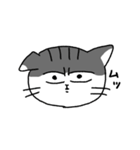 猫のマーゴ（個別スタンプ：7）