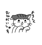 猫のマーゴ（個別スタンプ：8）