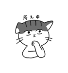 猫のマーゴ（個別スタンプ：15）