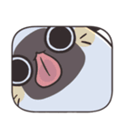ふかふか チェルラトニャ（個別スタンプ：12）