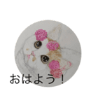 可愛くて楽しい4匹の猫 3（個別スタンプ：7）