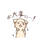 犬のたくたく（個別スタンプ：3）