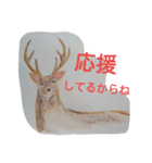 水彩色鉛筆で描いた北国の生き物たち（個別スタンプ：4）