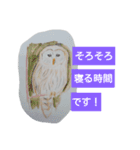 水彩色鉛筆で描いた北国の生き物たち（個別スタンプ：6）