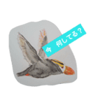 水彩色鉛筆で描いた北国の生き物たち（個別スタンプ：9）