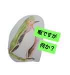 水彩色鉛筆で描いた北国の生き物たち（個別スタンプ：10）