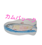 水彩色鉛筆で描いた北国の生き物たち（個別スタンプ：11）