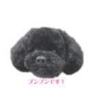 プリンくんU・x・U stamp！（個別スタンプ：1）