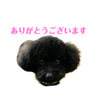 プリンくんU・x・U stamp！（個別スタンプ：8）