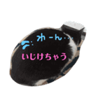 わたしカツオ♀（個別スタンプ：2）
