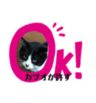 わたしカツオ♀（個別スタンプ：4）