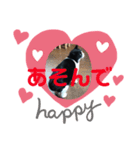 わたしカツオ♀（個別スタンプ：7）