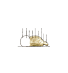 のほほんらっことご近所あざらし（個別スタンプ：4）