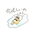 のほほんらっことご近所あざらし（個別スタンプ：9）