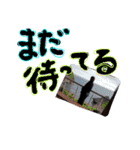 まーだ！！（個別スタンプ：10）