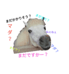 まーだ！！（個別スタンプ：11）