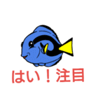 スキューバダイビングねお01（個別スタンプ：6）