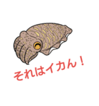 スキューバダイビングねお01（個別スタンプ：13）