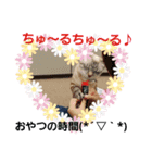 ねこねこgo！go！⑤（個別スタンプ：3）