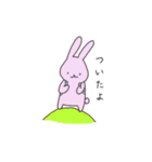 うさぎのぽち（個別スタンプ：11）