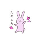 うさぎのぽち（個別スタンプ：13）