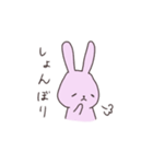うさぎのぽち（個別スタンプ：16）