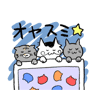 にゃんずのスタンプ（日常ver.）（個別スタンプ：4）