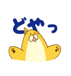 ワンスタ犬スタンプ（個別スタンプ：19）