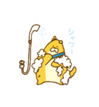 ワンスタ犬スタンプ（個別スタンプ：37）