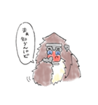 らくがきマンドリル（個別スタンプ：23）
