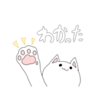 丸くて白いネコちゃん（個別スタンプ：9）