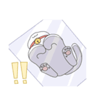 丸くて白いネコちゃん（個別スタンプ：10）