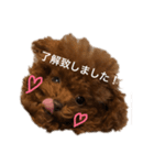 ティーカッププードルクロムくんの敬語1（個別スタンプ：4）