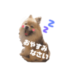 ふわふわラクちゃんの日常（個別スタンプ：2）