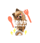 ふわふわラクちゃんの日常（個別スタンプ：3）