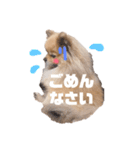 ふわふわラクちゃんの日常（個別スタンプ：5）