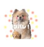 ふわふわラクちゃんの日常（個別スタンプ：7）