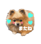 ふわふわラクちゃんの日常（個別スタンプ：8）