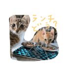 キキ＆ライの日常会話✩.*˚（個別スタンプ：3）