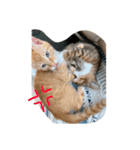 キキ＆ライの日常会話✩.*˚（個別スタンプ：5）