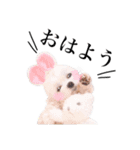 まろん君のスタンプbyタップママ（個別スタンプ：3）