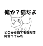 ヤバい猫ちゃんスタンプ（個別スタンプ：10）