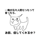ヤバい猫ちゃんスタンプ（個別スタンプ：11）