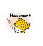 ふぐの生活01(英語)（個別スタンプ：1）