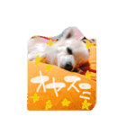 くうたろーさんstamp（個別スタンプ：2）