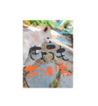 くうたろーさんstamp（個別スタンプ：4）