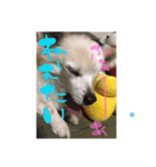 くうたろーさんstamp（個別スタンプ：7）
