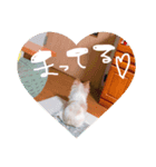 くうたろーさんstamp（個別スタンプ：8）