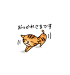 たびねこロクと仲間たち 1（個別スタンプ：21）