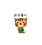 たびねこロクと仲間たち 1（個別スタンプ：38）